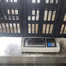 신안홍어 이미지