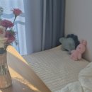 주식회사 뉴노멀소프트 | 극세사패드 데시뉴 따듯한 겨울이불 준비