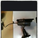 대덕카센타 이미지