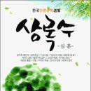 상록수