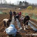 한울타리농장 이미지