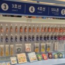 더시크릿 - 강동구 구천면로 192 | 팝업 롯데백화점 부산본점 지하철 팝업스토어 '더 시크릿 서머스테이션'방문 후기 (아이와 가볼 만한곳)