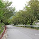 소백산마을농촌체험휴양마을 이미지