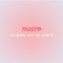 모잇 MBC연예