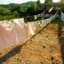 컴퓨터세탁소 이미지