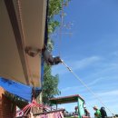 파라다이스D 이미지