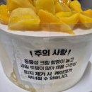 꿀떡꿀떡 | [이마트트레이더스] 요거트망고케이크 후기✨️생망고+동물성크림 조합 꿀떡꿀떡 넘어가는 초가성비