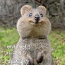 1급안녕모터스 이미지