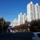 사리울삼거리 Daum카페