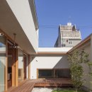 마당말들 이미지