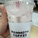 매머드익스프레스강남효성해링턴점