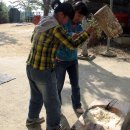 구포초교 이미지