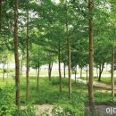 남산현대아파트경로당 네이버블로그