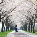 맥도생태공원 이미지