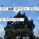 화로상회 성남을지대점 이미지