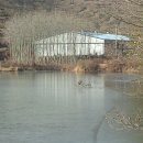 활농장 Daum카페