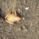 이레농장2 이미지