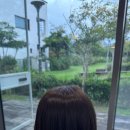 도남미용실