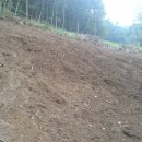 버들골농장 이미지