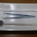 페이퍼 미러