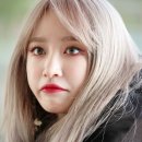 하모닝 Daum카페