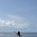 석영마트 | 8월 일기 :: 아이갓더파워냉방☀️