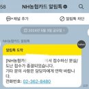 코레일유통주식회사 | 분실카드 부정사용 신고부터 보상까지ㅣ카드뒷면 서명 필수인 이유