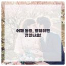 푸른정형외과 네이버블로그