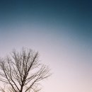 노을빛언덕 이미지