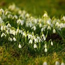 [학점은행제] 2023학년도 1학기 사회복지현장실습 모집(평일/토요반) | 사회복지사 학점은행제: 온라인 수강부터 실습까지 실패 없는 자격증 취득 완벽 가이드