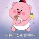 47이끌의원 이미지