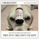 만성카용품크리닉 | 모질·피부 개선에 효과 본 펫햄프 강아지 식물성오메가3 후기