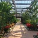 안산 식물원 이미지