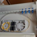 울산양정초등학교 이미지