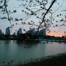 공원슈퍼앞 - 안산시 단원구 와동 | 공원슈퍼앞