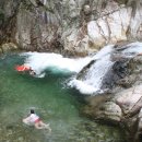 중원-21 Daum카페