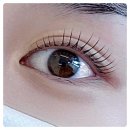 수원-0385 네이버블로그