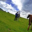 어승생승마장 이미지