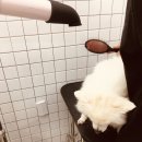 올리스(위례) 이미지