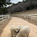 전일목장 이미지