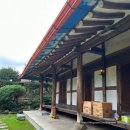 고택 수련 이미지