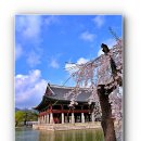 경회루 Daum카페