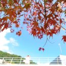 화담펜션 이미지