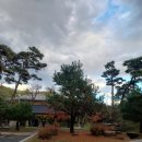 카페인하원 이미지