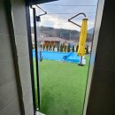 골드미펜션 | 단양펜션 시설 좋은 곳 골드미펜션 방문 후기