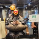 라이온헤어 4F | 미용실 추천 사자 헤어 2층 찐 단골 볼륨매직 후기 봄맞이 예쁜 머리하기