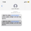 올레 김밥 이미지