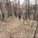 울산우리안약국 이미지