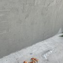 우기막창