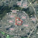 조성초교 이미지